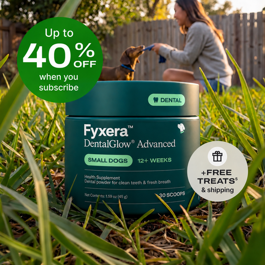 DentalGlow® Advanced dog dental powder