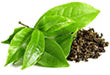 Tea-Based Polyphenols