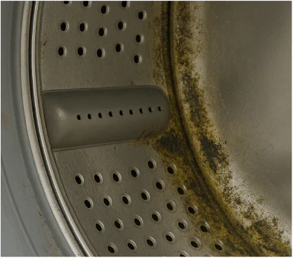 Mold and mildew