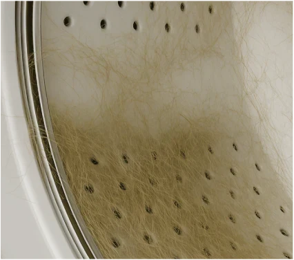 Pet hair